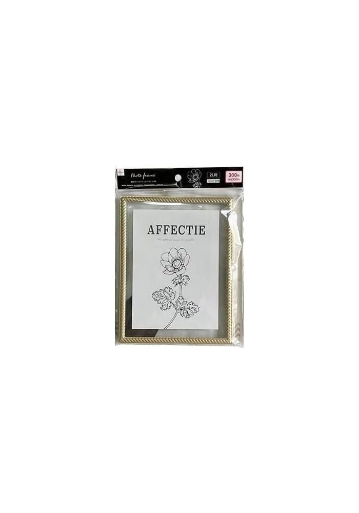 DAISO Clear Aluminum 2L Size Photo Frame - Gold